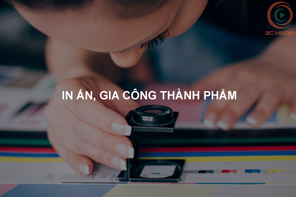 Thiet Ke Profile Cong Ty Gia Re Tai Tdvmedia