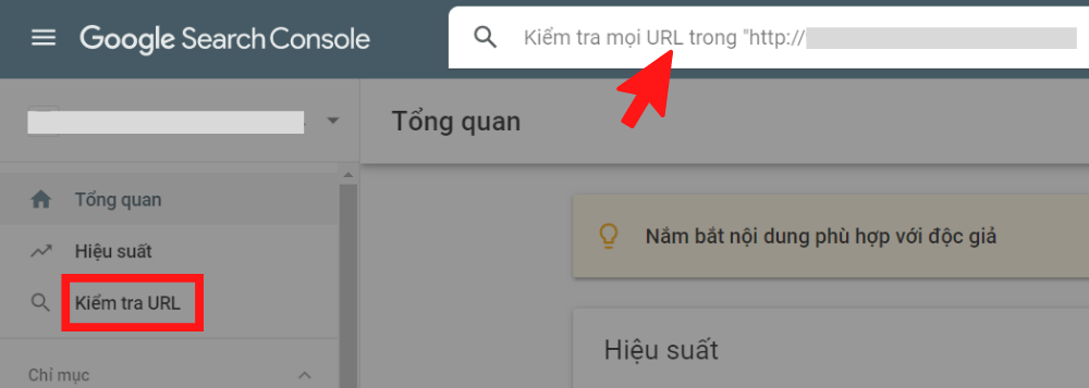 Bạn chọn tab “Kiểm tra URL” và bạn nhập URL của bài viết cần index ngay.