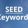 Seed Keyword Là Gì? Cách Tìm Seed Keyword Hiệu Quả Nhất
