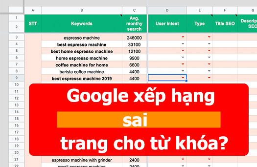 Google Xếp Hạng Sai Trang Cho Từ Khoá Thì Nên Làm Gì?