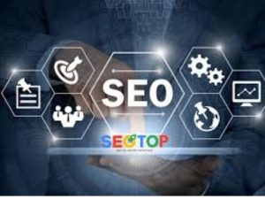 Dịch Vụ Seo Website