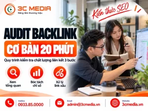 Audit backlink là gì