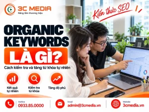 Organic keywords là gì
