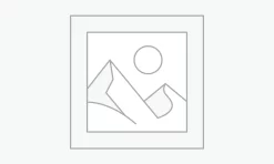 Nơi nhập dữ liệu